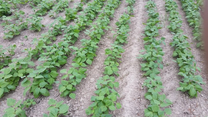 AM-JKLWVz9KkfZzaj95eQWlti3WlvVCSjj6PqnfE