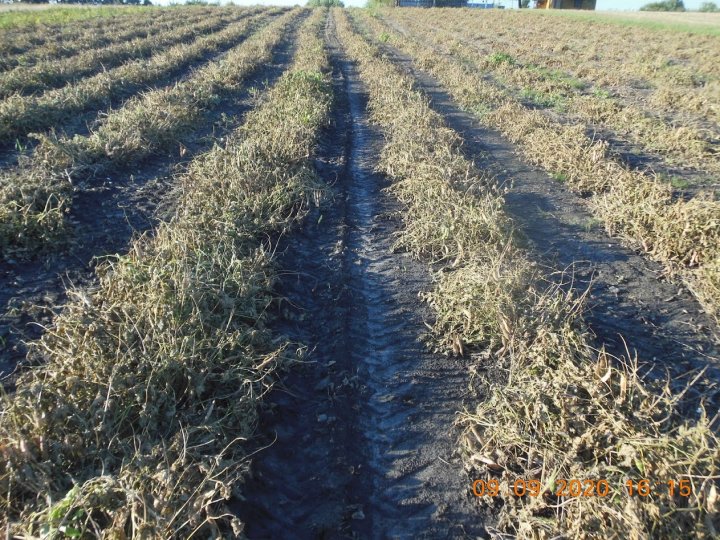 AM-JKLWf7l9JMIxJGNQNAAU72wFV0a-ln6u2DB0w