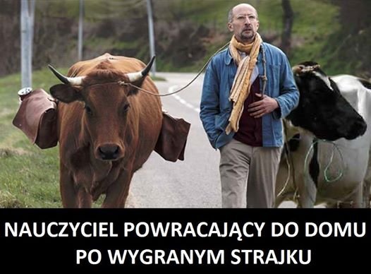 56954837_10217071059362749_5722671891852820480_n.jpg?_nc_cat=104&_nc_ht=scontent.fwaw7-1.fna&oh=f4aef8ccc2588913724e53cd235e7fde&oe=5D47603A