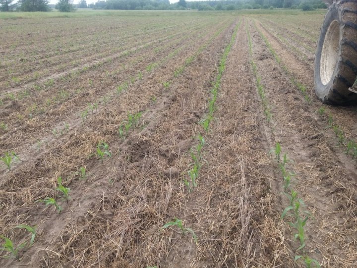 HvErWaLLKFTCVRvRr1LU1Lc9_BLDB1mQHCGSHyFK