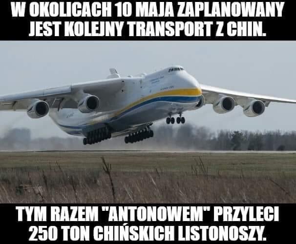 EWSoI2uX0Ac87Gl?format=jpg&name=small