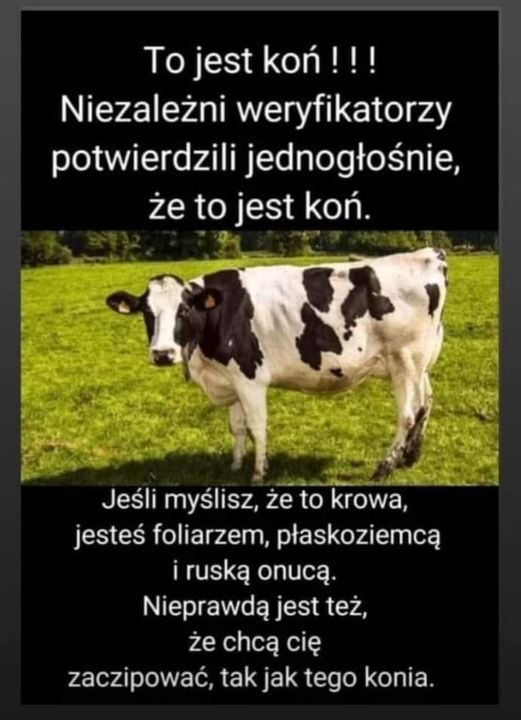 291928269_374599561440783_33854220659727