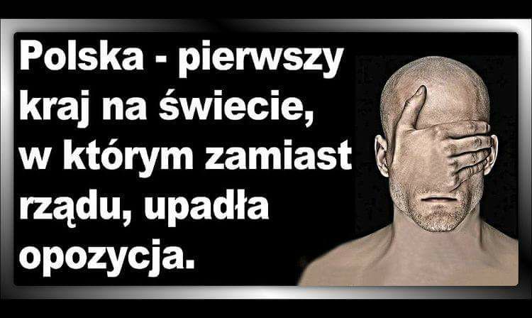 Zdjęcie użytkownika Niebieski Punkt Widzenia PL.