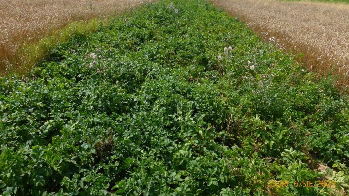 AIL4fc8ptQhheGsdDIE0bypPf1ejDVkdQdl8fWwX