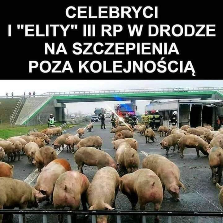 135582611_108449941179350_84301695818365