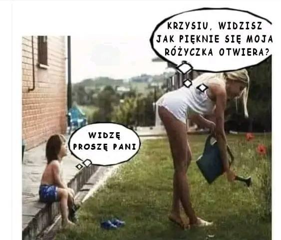 Może być memem przedstawiającym 2 osoby i tekst „KRZYSIU, WIDZISZ JAK PIĘKNIE SIĘ MOJA RÃ“ŻYCZKA OTWIERA? WIDZĘ PROSZĘ PANI”