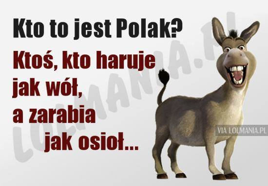 Może być komiksem przedstawiającym zwierzę i tekst „Kto to jest Polak? Ktoś, kto haruje jak wół, a zarabia jak osioł... VIA LOLMANIA.PL”