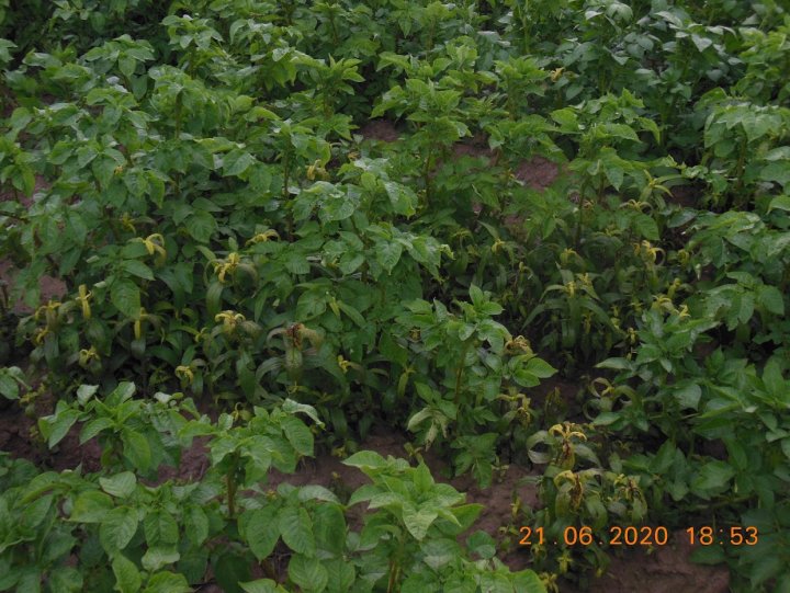 ACtC-3ditR9MkQbFolJG7UWkLYkFWHgZPzYPKzdU