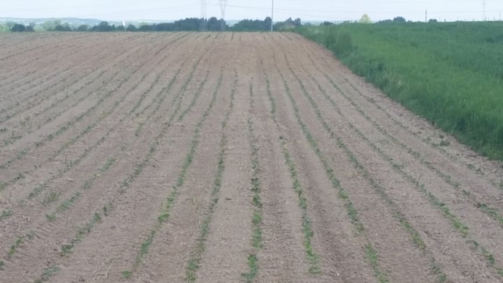 AP1GczOVXTXoQkZcqviHx-COoqWOxMQ62PFVgqPI