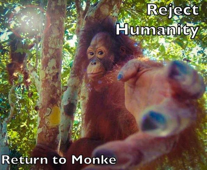 Return to Monke | Know Your Meme