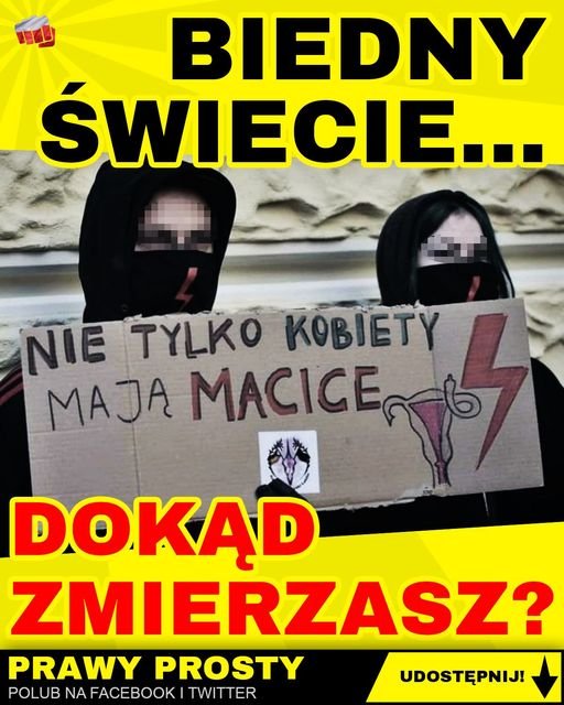 159533741_157314356216264_66767137923650