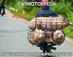 Może być zdjęciem przedstawiającym tekst „ŚWINIOTORPEDA 줄 POWSZECHNY POJAZD W PIERDZISZEWIE”