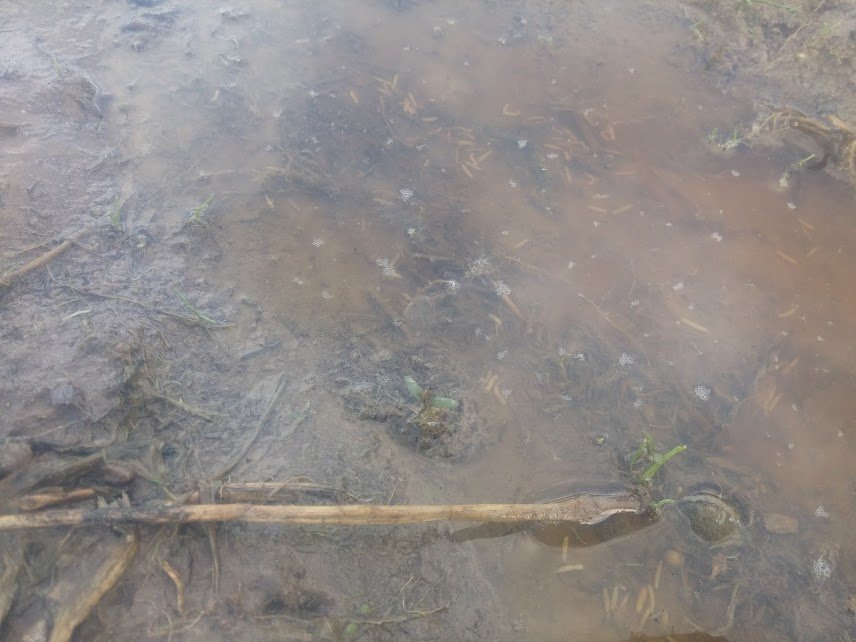 WttIzsmUDnr53PzryTQaD9HxI0ksuTc2sSE8lfG3