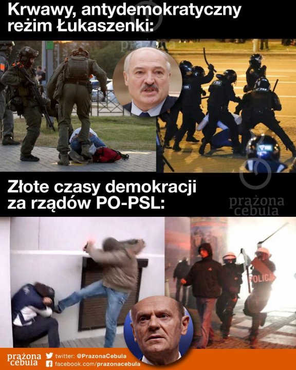 120076379_3381134598575616_3785040691686