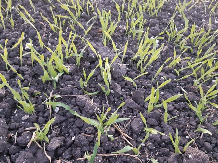 2bF-ZLi5Xk-DTRI8g2mXQn9oj5l9Lhm7G8rzN_tu