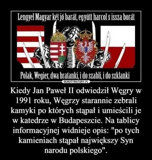 139665323_3571771026203408_8469922657864