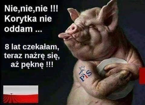 EW_a_aiWkAAOlFn?format=jpg&name=small