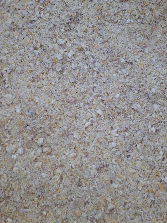 251825317_1905536382988041_9821136184742