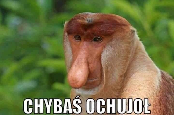 Może być zdjęciem przedstawiającym 1 osoba i tekst „CHYBAŚ OCHUJOŁ”