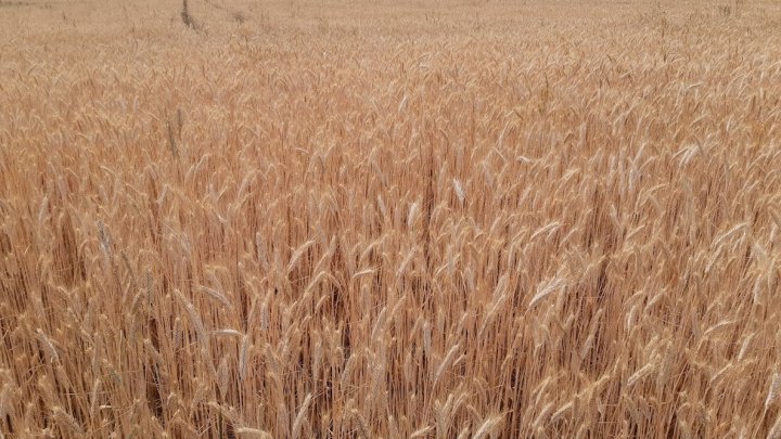 YMPw2yeVxnTMu2-7aSd2auzcsW-KWQtsYBwxnptI