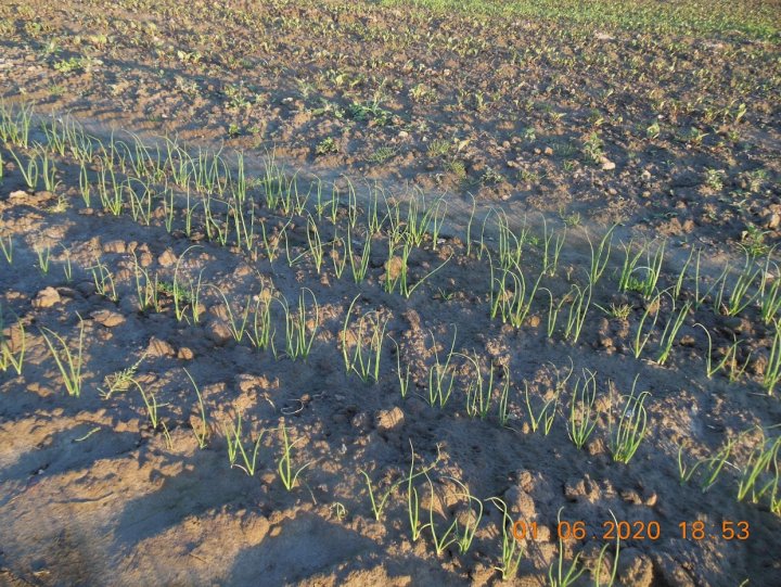 OYzxiKi_vKyYs4iRFs_uaHX-BaOUxv_nUPuv1w0KviPrp7XA_ZQaVpvqLJfCnnl7EiBfaXtB6RsNY6Tf_3wvSSOhGWEYfw2n-nGOOaEAOkr98JCh8kHSNXrfsTTQ3UuwDHXVFxnkPYWyjHowMckW-A8v0FnN-vRMwOsTdDTHVBedStreFlq6jiBH41ewCP5Ky6sUIG_kzAV769ppE4PTGE4fBBsI3u164Pa_9fGCzsS5XqnPDGKt65p8HQe4bTS2pQipMrep_Zks1vkeu42gy_bM7ohnJAAYc7sHL5ms3pfm82dE9dWIYkj3QVPiwa6XHFGrJxH4oOzArlXia8hYZfD1K3QoZvphdLXnZMDC7iKL_vlyYwgX-NTneMOAkzYwVgMFbjocqj4n1KzE-RidMjpESYEQslOzdTTsGMzngpaVzvX-AYi9daiYzwI8WqxHKrvqiXRUbY6ZaGo9fJwBK9nwc1jUA1mz95JXsWuXT94fqajbrkPBdj9KwHXwsAeRBfPDdN4GOtmBpvgd_FyooDIGhkFDWYwMDSXd7NzKu9IqRhKyBB8aY-he7HqcEmCg7i0Vmh7oG_aa4gCQwepwDXoUUjC_rVhl-ucEDXNC3xwRqKVG9eEbBBmGSJSITZblsRkyTM-_q3OI6sd-Vfa3DIGS-6OvPvNdLEyJqmHz8cpnw9peDqyFSE4-IgloaA=w1242-h931-no?authuser=0