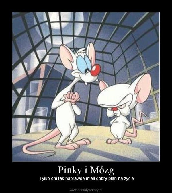 124158066_3514823788596816_5335393033741