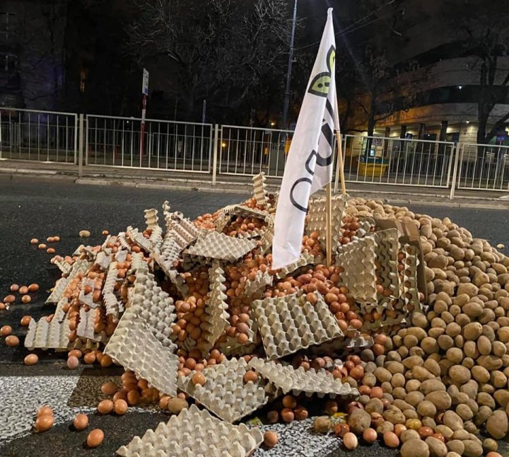 131001609_2884348091801231_7882812796789