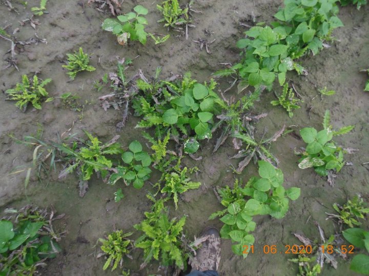 AJFCJaXS0DVXUAScqeMWhbe_aTWX2ZUz1z2-YrmW