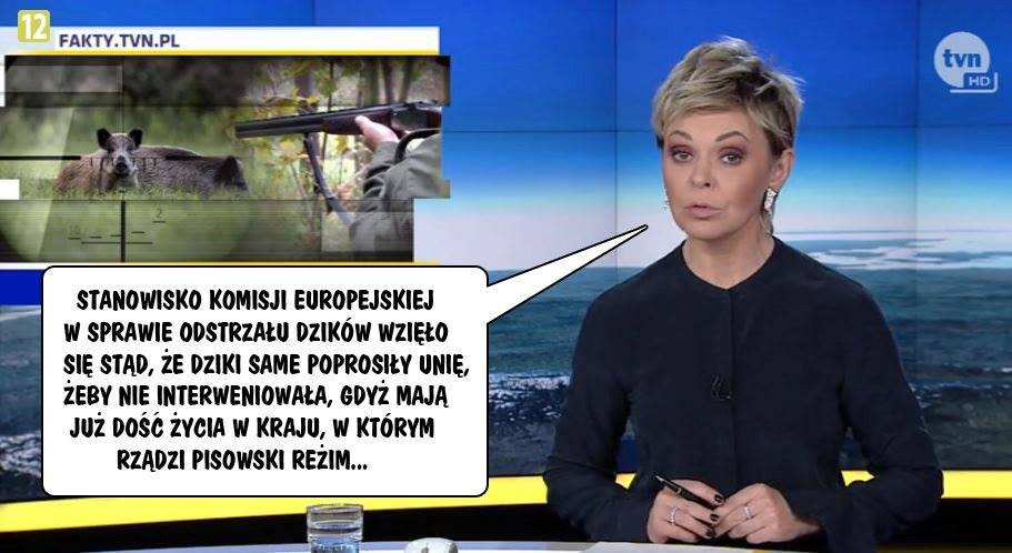 50120429_1971237163180448_7397597858985148416_n.jpg?_nc_cat=107&_nc_ht=scontent-waw1-1.xx&oh=c33c12850c83fafab7d1586f55e8ae67&oe=5CCE7BF8