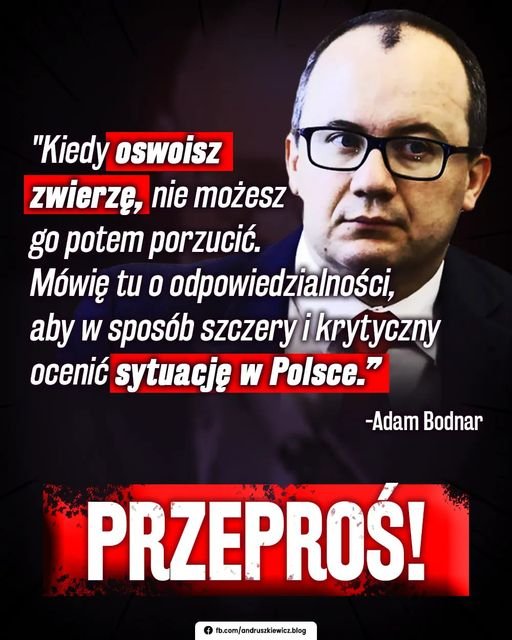 251761465_427043325450893_62064834927103