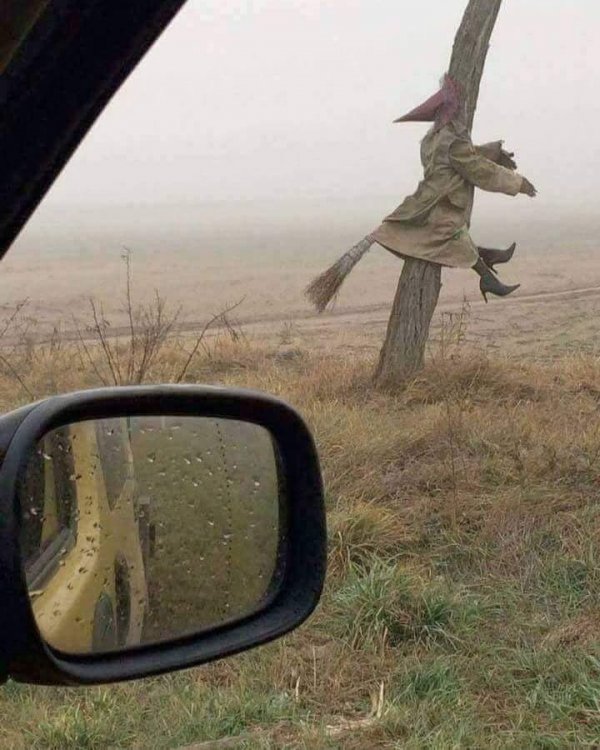 42385564_297646567633352_814688469366551