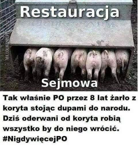 72299285_2365271983587572_72297065522973