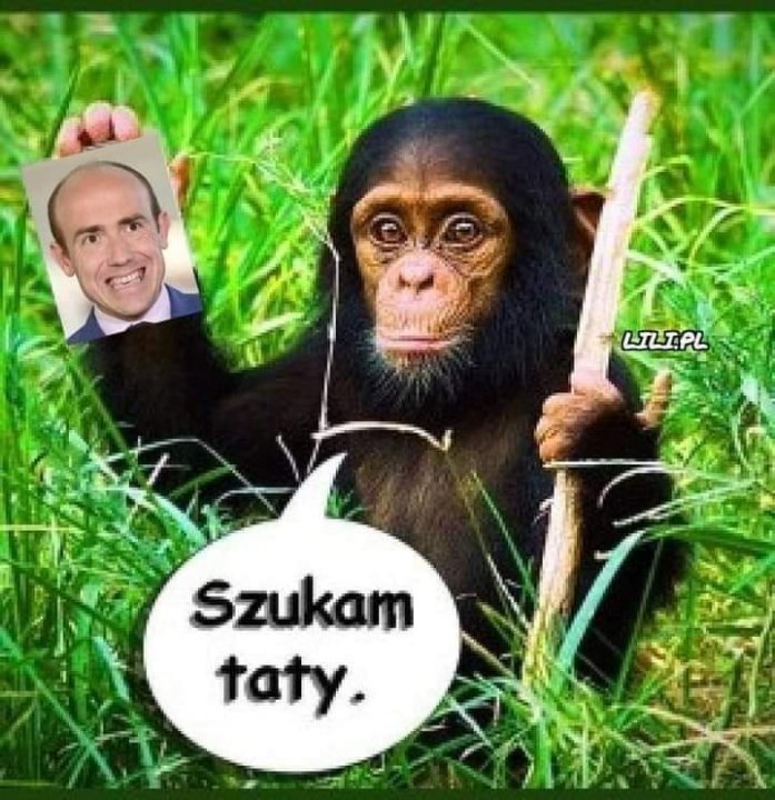 Może być zdjęciem przedstawiającym 1 osoba i tekst „LILI.PL Szukam taty.”