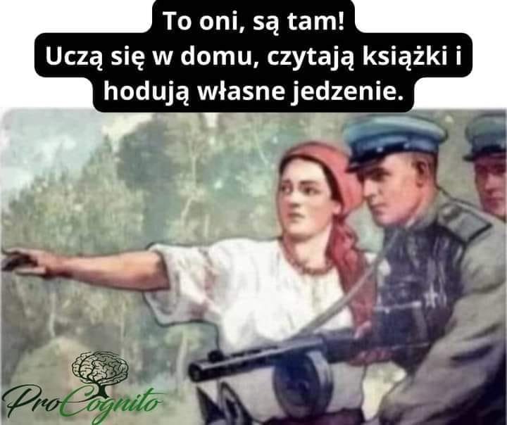 Może być zdjęciem przedstawiającym 2 osoby i tekst „Το oni, są tam! UczÄ się W domu, czytają książki i hodują własne jedzenie. ProCognito”