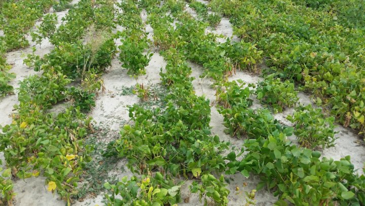 AP1GczO5DT3a7BZUTn5C_sJFpWCWVLPbKxaHBwe4