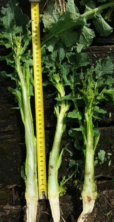 Brak dostępnego opisu zdjęcia.