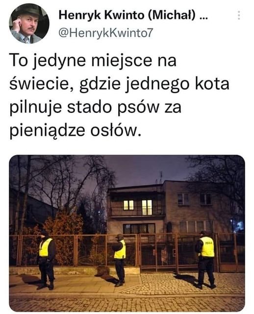 Może być zdjęciem przedstawiającym 4 osoby, ludzie stoją, na świeżym powietrzu i tekst „Henryk Kwinto (Michał)... @HenrykKwinto7 To jedyne miejsce na świecie, gdzie jednego kota pilnuje stado psów za pieniądze osłów. POSA S”