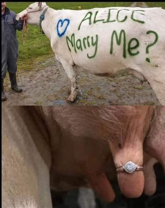 Może być zdjęciem przedstawiającym 1 osoba, zwierzę i tekst