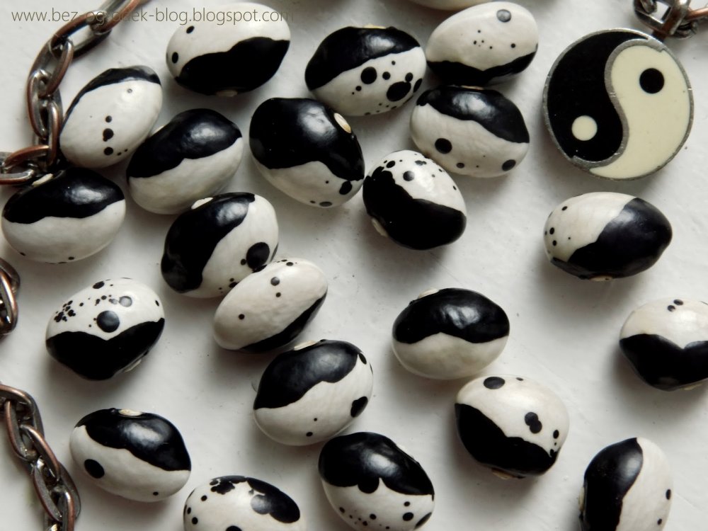 magiczna+fasola+yinyang+orca+calypso+%25