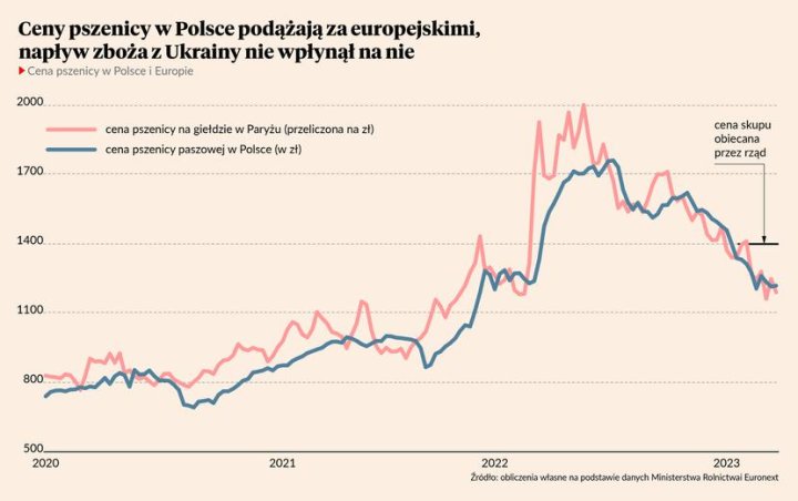 Skąd się wziął wybuchowy politycznie spadek cen zbóż - Puls ...
