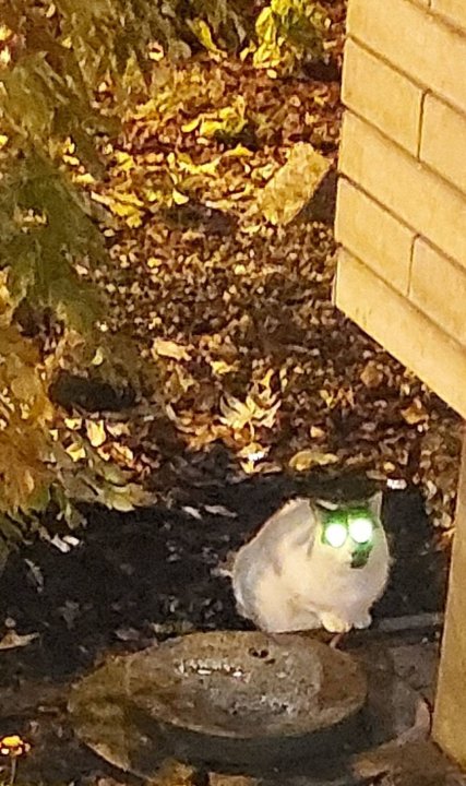 Brak dostępnego opisu zdjęcia.