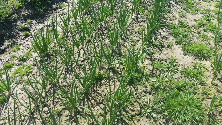 AJFCJaVY54oLKZypX9AtA05jxK1iKtERfLcvOQY1