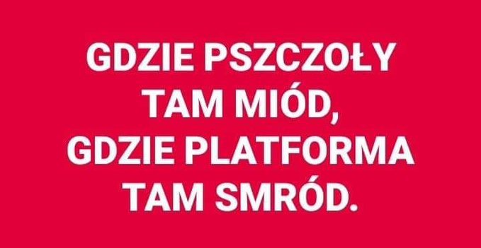 EZ7nx_1XQAAHVNl?format=jpg&name=small