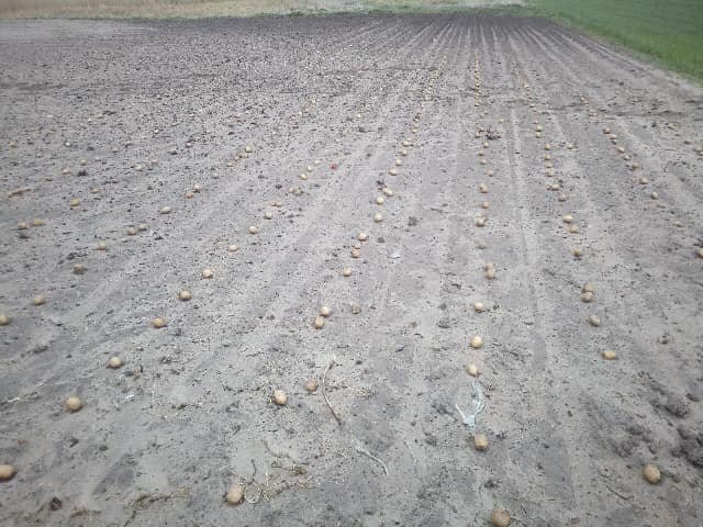 58543593_2210488869200502_52187712146961