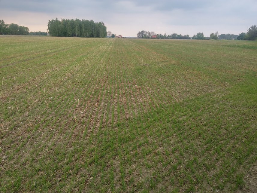 M8p2Fi9J4W8JgNkFP6xJHHnkz9RINbXOQDEL9jpT