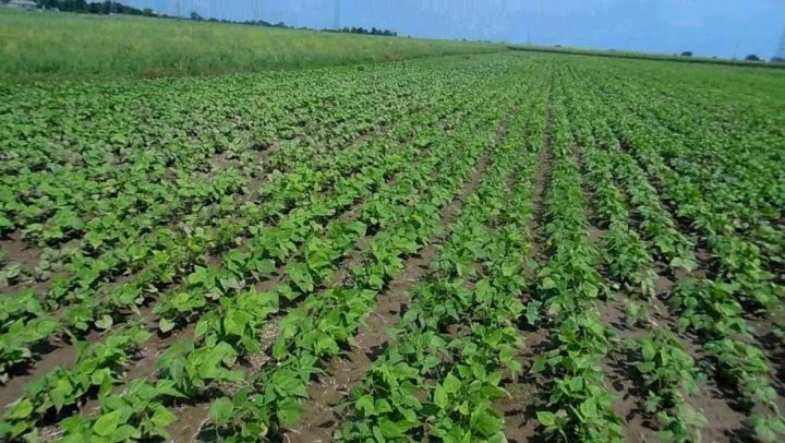 ACtC-3cfqCgOtpyHFa9f8XK9wQjqRgwTjvYvJ64q