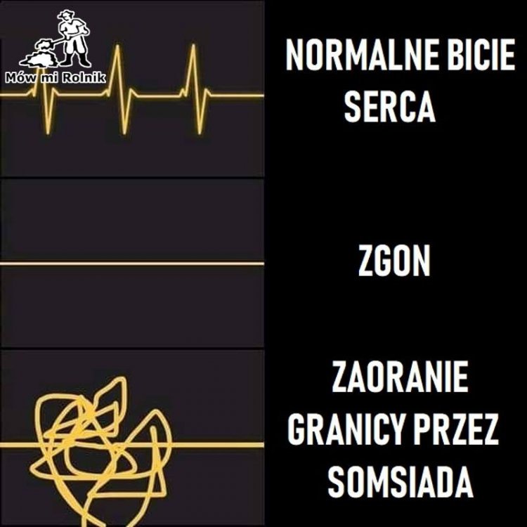 47171258_2172085296376507_79079804234754