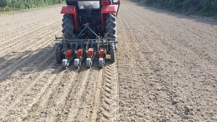 AP1GczPfiPOuP5_o9I1bJlIJnz_lX9956TAbOqTj