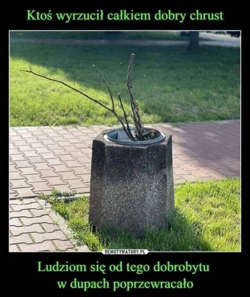 Może być zdjęciem przedstawiającym drzewo, na świeżym powietrzu i tekst „Ktoś wyrzucił całkiem dobry chrust DEMOTYWATORY.PL Ludziom się od tego dobrobytu w dupach poprzewracało”