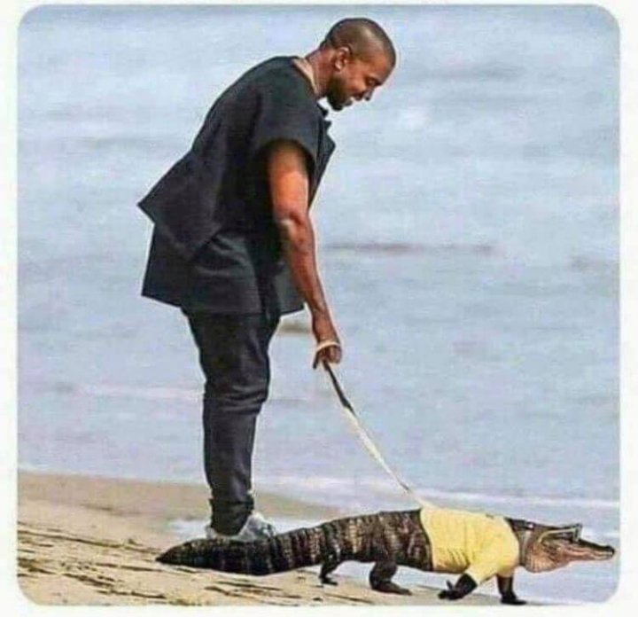 77335012_3299997543349961_92148797955888